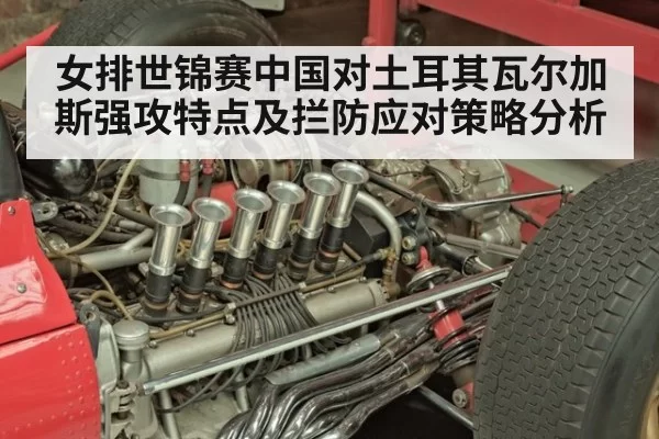 女排世锦赛中国对土耳其瓦尔加斯强攻特点及拦防应对策略分析
